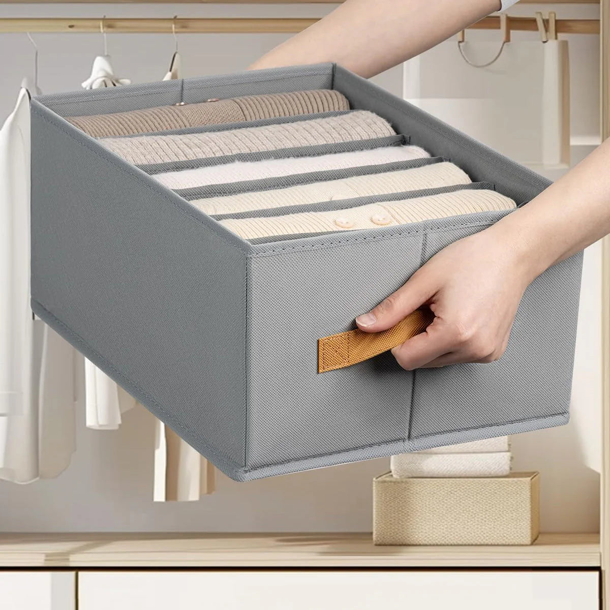 Premium Foldable Clothes Storage Organizer | Pack of 6