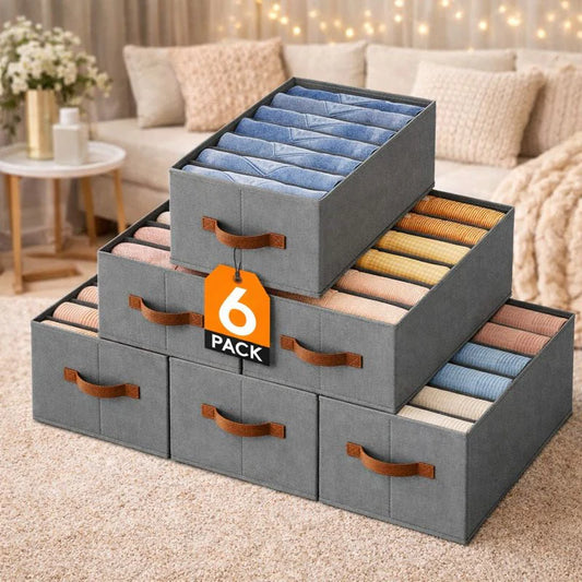 Premium Foldable Clothes Storage Organizer | Pack of 6